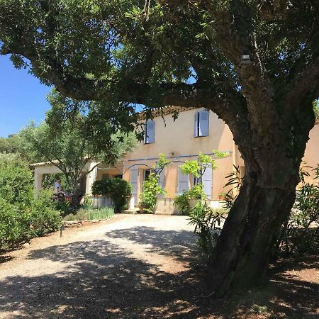 Le Mas Amore Bed and Breakfast Gassin Exteriör bild